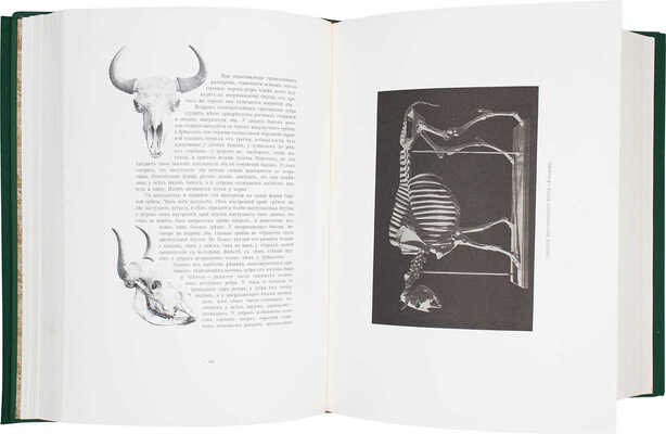 Карцов Г. Беловежская Пуща. Ее исторический очерк, современное охотничье хозяйство и высочайшие охоты в Пуще. Воспроизведение издания Артистического заведения А.Ф. Маркса 1903 г. / Ил. худож. М.А. Зичи, К.Я. Крыжицким, Н.С. Самокишем и др. М.: Терра, 2003.